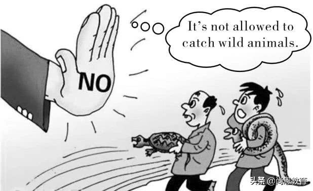 关于“新冠肺炎”，高考英语写作必备范文！背起！（超详细！）