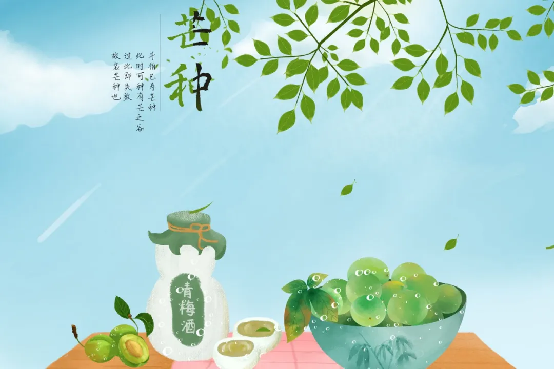 芒种｜忙于播种，自有收获