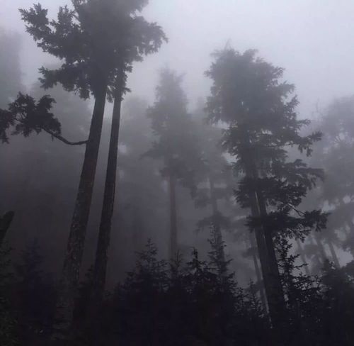 至今科学仍无法解释的未解的谜团：中国这6个地方堪比百慕大