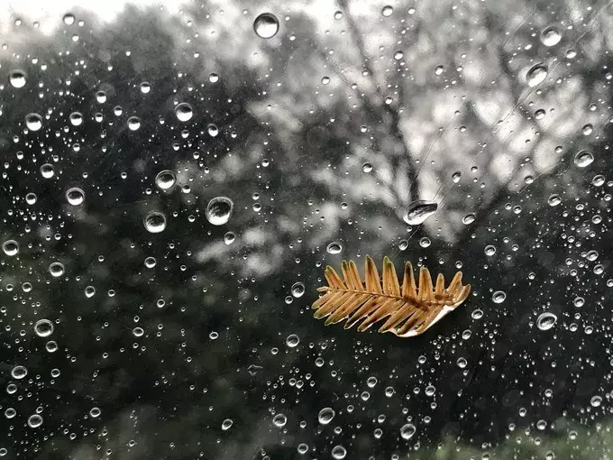 寻一处静谧，赶一场春雨