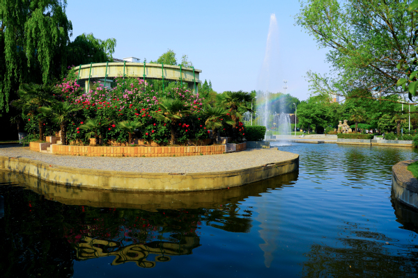 郑州轻工业大学2020年招生计划，2019年毕业生就业情况