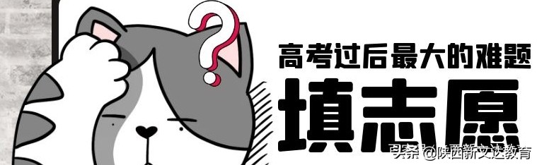 高考分数PK高考志愿填报！选择是否能决定未来？