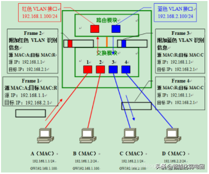 带菜鸟入门了解网络IP 、子网掩码 、路由器 、DNS知识