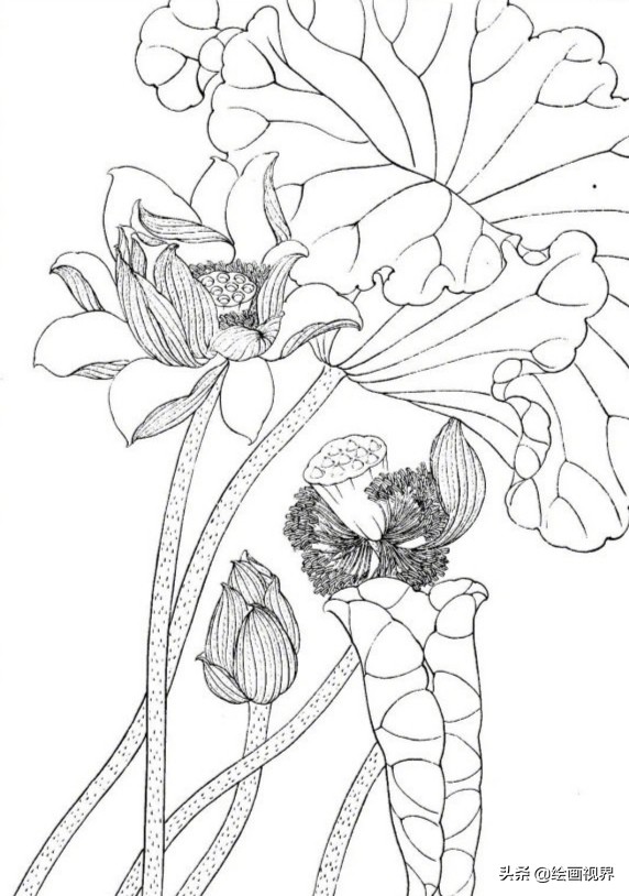 白描线稿教你画,初学者不能拘泥于绘画形式