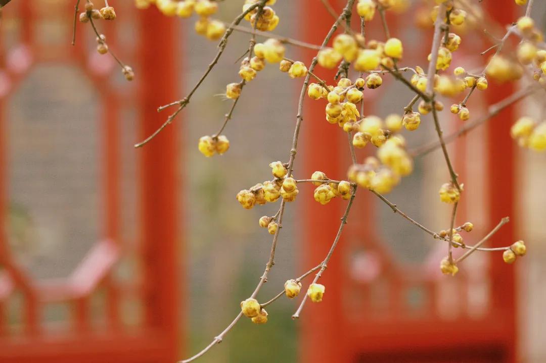 科创板申报企业财务会计专题研究（上）