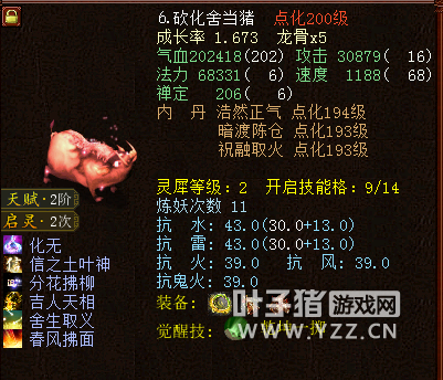 大话西游2投资千万打造超级敏队！凶猛物资集于一身