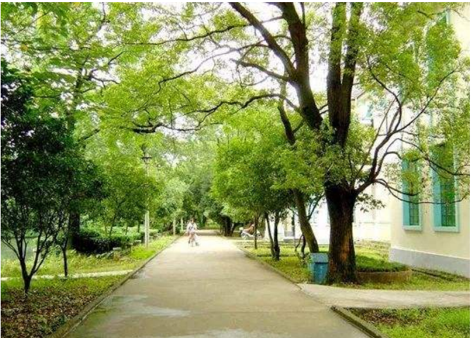 为啥大学期间，很少见到大三、大四的同学？原因无非这几点