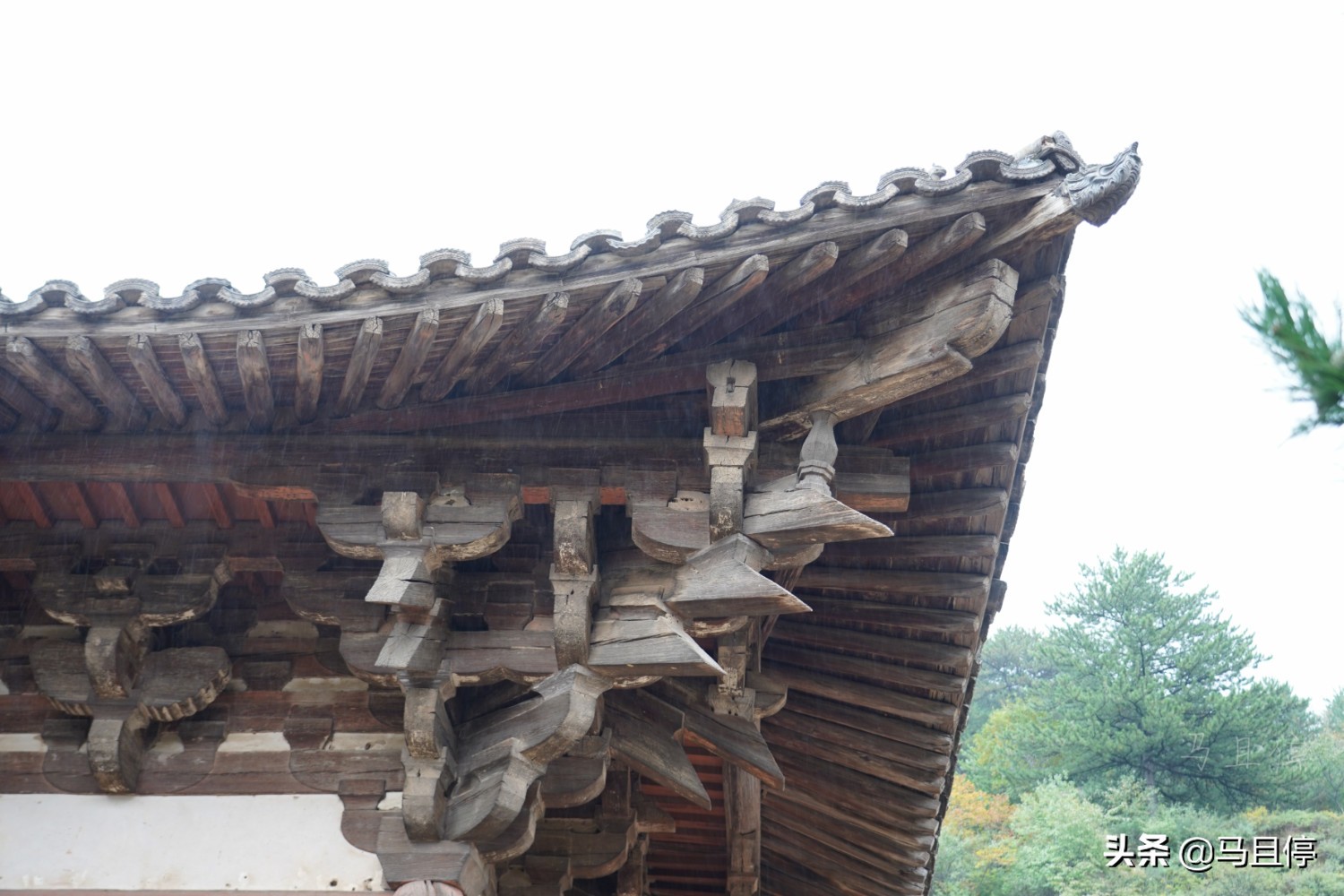 山西小村有一唐代建筑，藏有四绝堪称中国第一国宝，五一游客不多