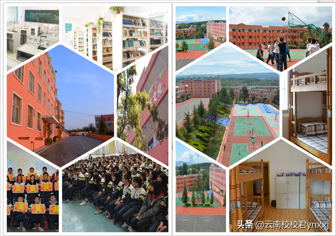 高考没考好怎么办？