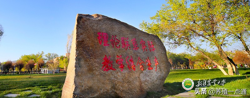 李海英（女），新疆农业大学教授、博导，动物科学学院副院长