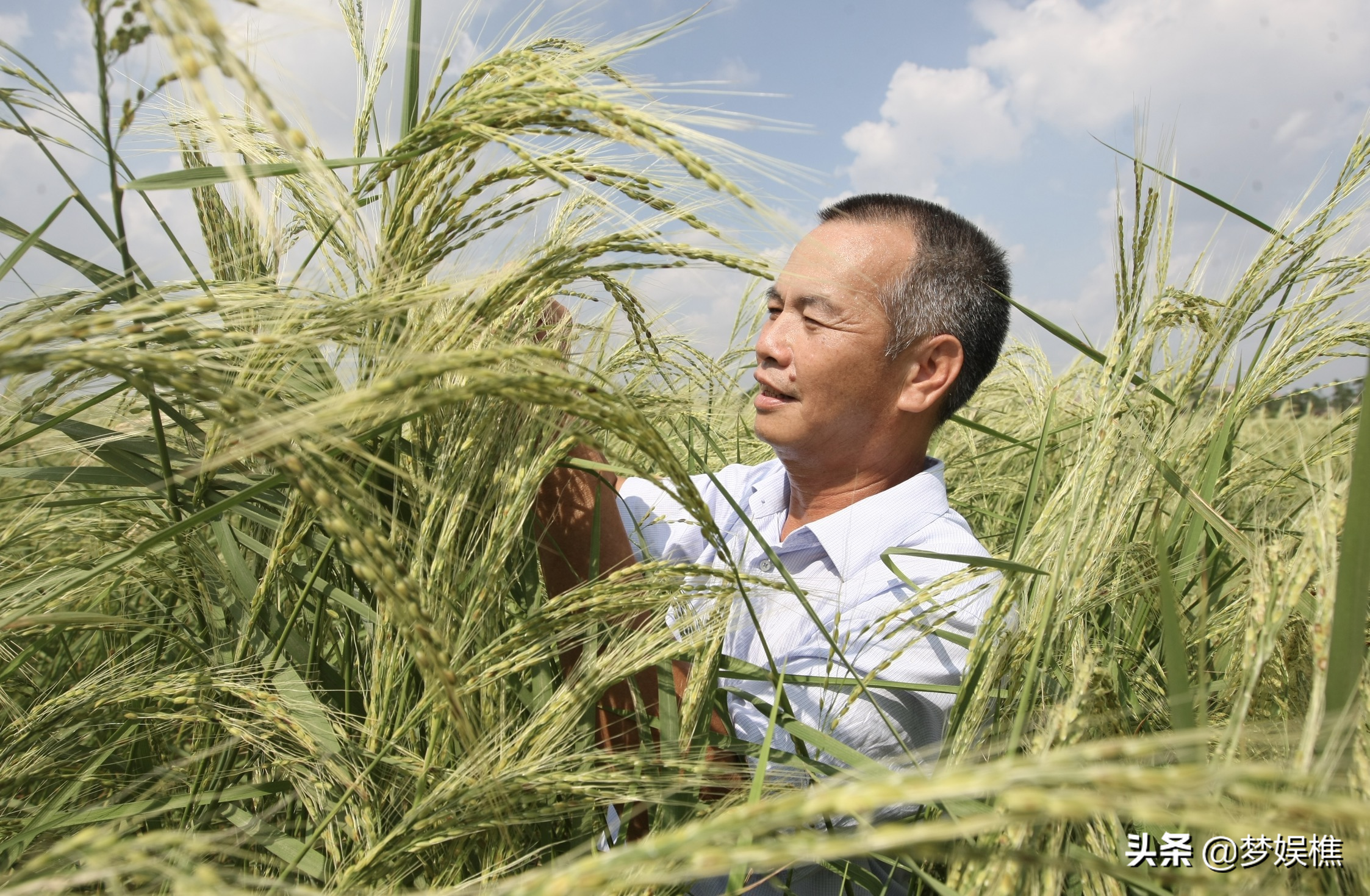 国际粮食危机了，中国人该担心吗？四大粮商围堵与中国的自救