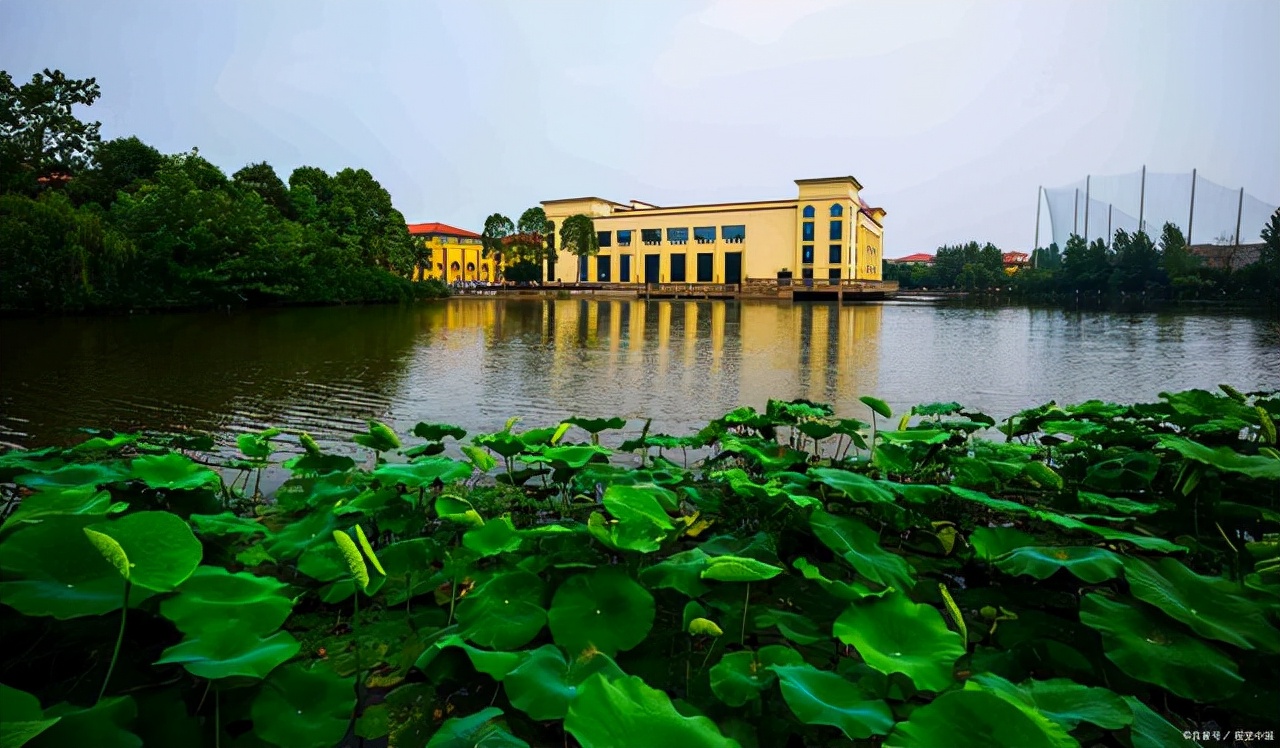 河北一女学生意外“走红”，怒斥学校写错大学英文名，配不上自己