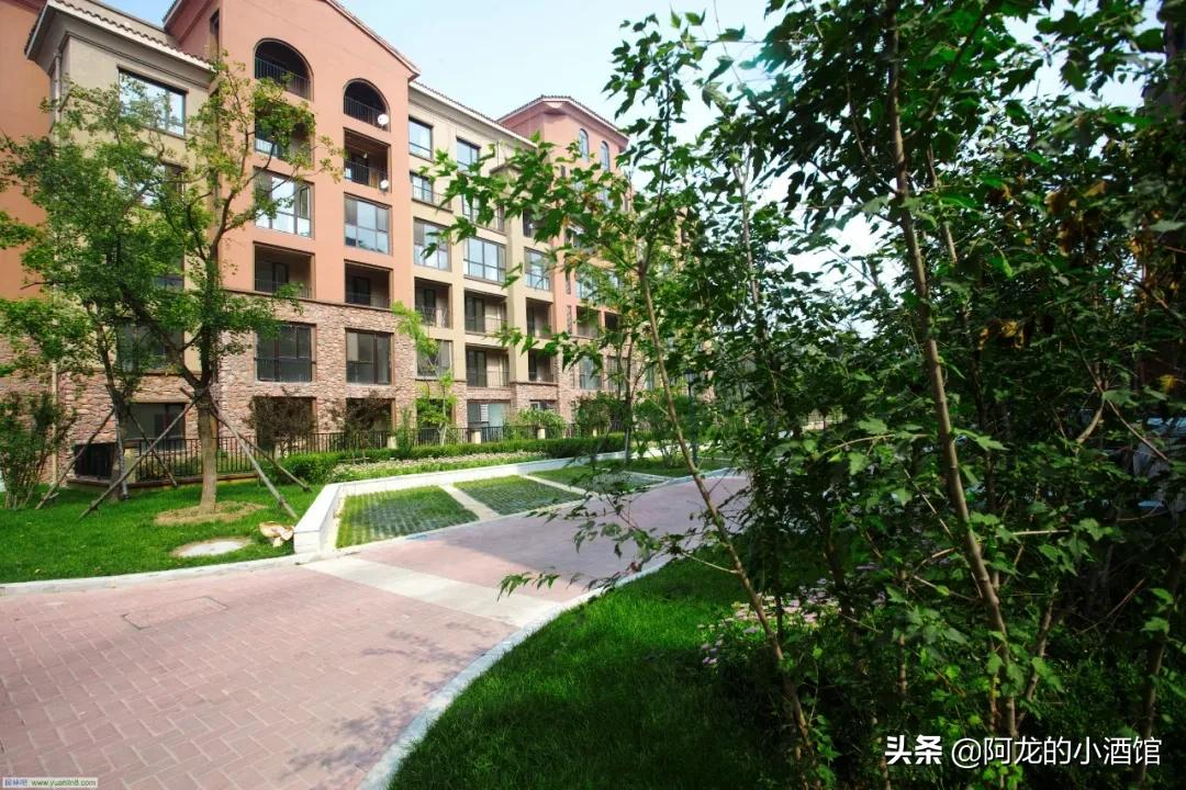 我要买奥迪，媳妇要买房，都吵三次了，真的是我错了吗？