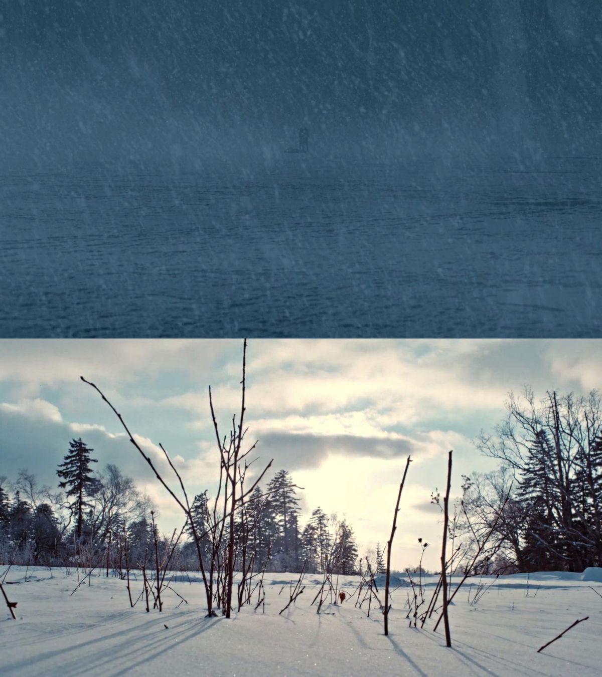 《双探》：无法被白雪掩盖的黑色悲情
