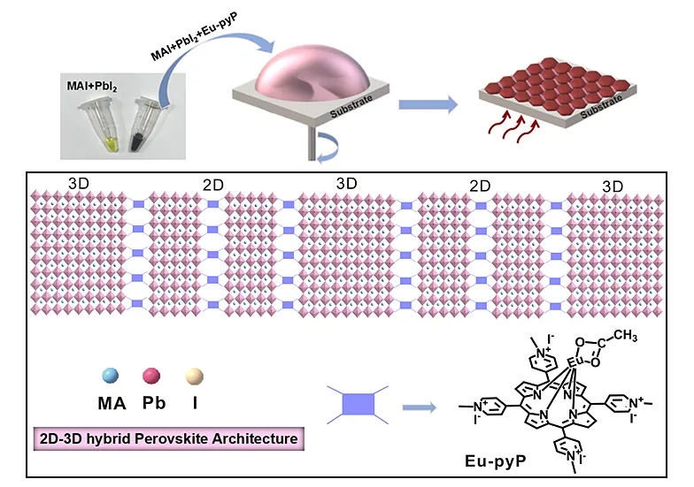 兰州大学唐瑜教授课题组近年来重要工作概览