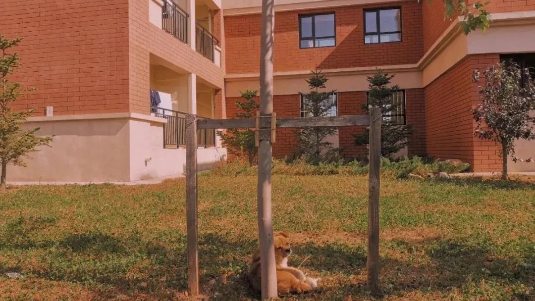 知云时代教育集团 | 辽宁师范大学海华学院