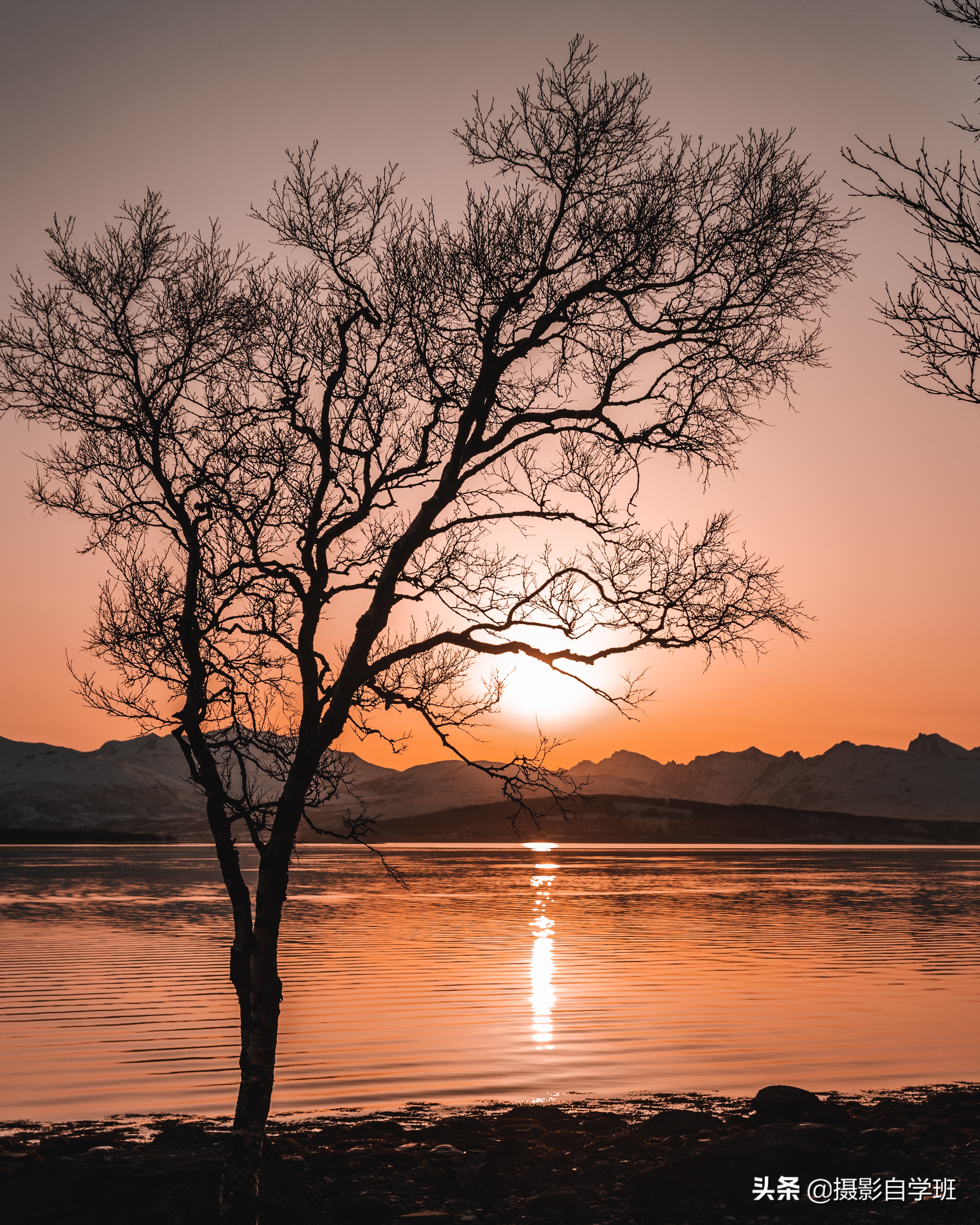 那些漂亮照片,都是咋拍的?这4个光影摄影技巧,帮你搞定