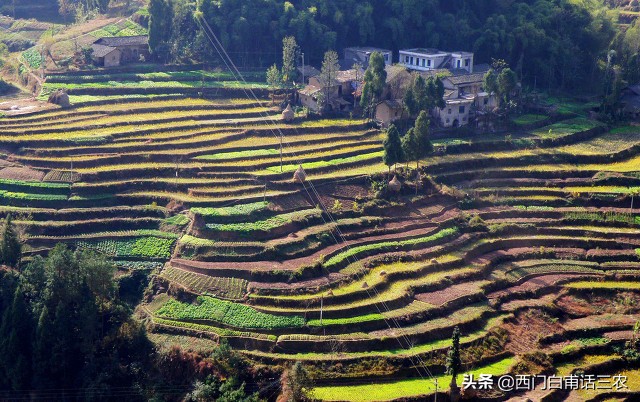 农民在永久性基本农田里挖鱼塘栽果树违法，看看你家耕地是不是？