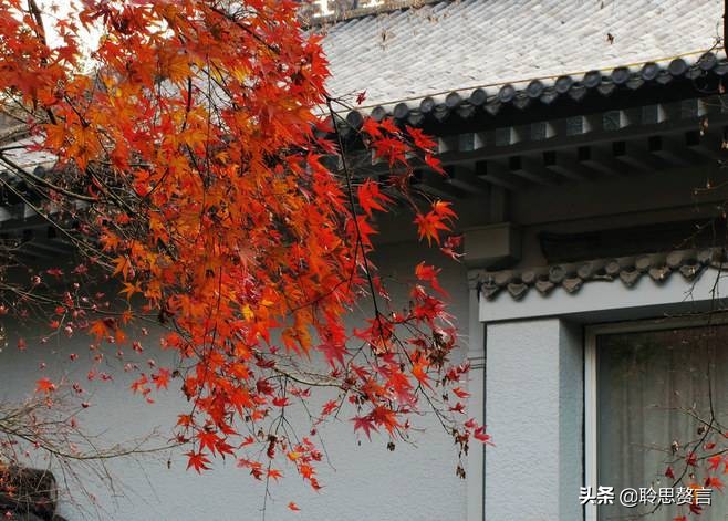 读一首诗刘禹锡《秋风引》，见秋风而悲感，忧愁者的常情