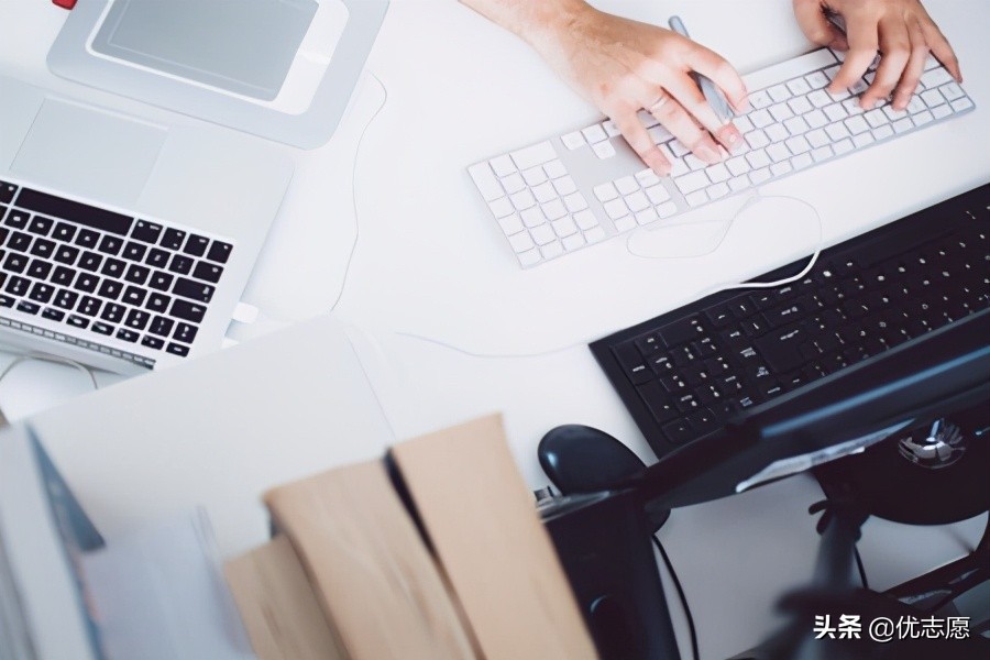 上海交通大学就业信息网（上海交通大学本科生就业流向波动分析）