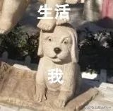 校园雕塑，当代大学生的快乐源泉！