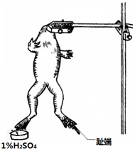 中国百年高考题，你会几道？