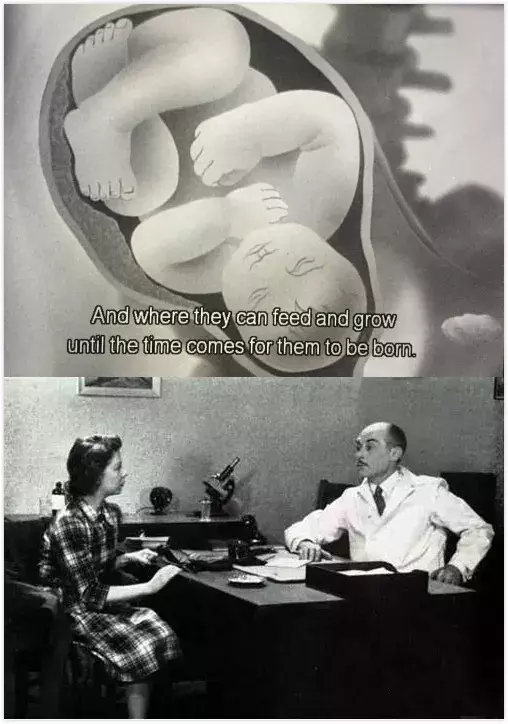 在性教育方面，中国人，你旷课了