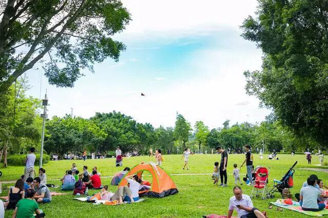 深圳十大免费特色的湖泊公园