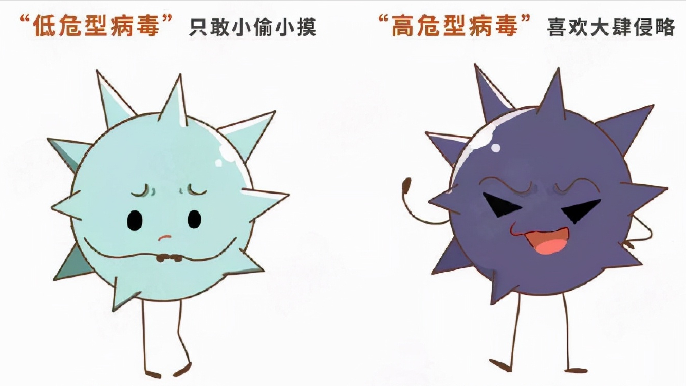 HPV的个人简历