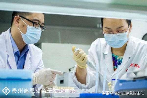 亲子鉴定流程,亲子鉴定流程详细步骤