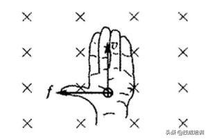 左手定则和右手定则图解（左手和右手定则的关系）