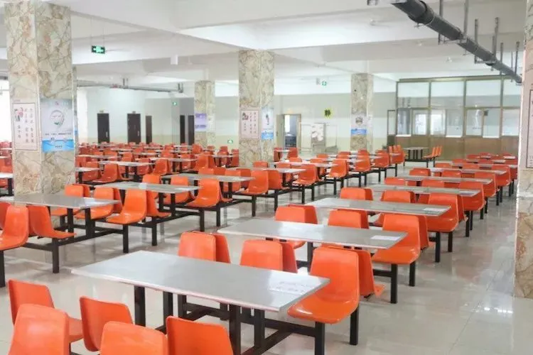 2020衡水一中保定分校（贺阳外国语学校）幼升小，小升初火热报名