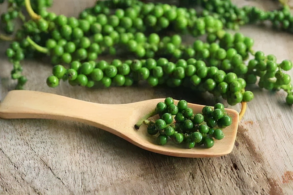 胡椒大体呈球状,有香气,味辛辣,原产地在南印度的热带雨林,距今已有