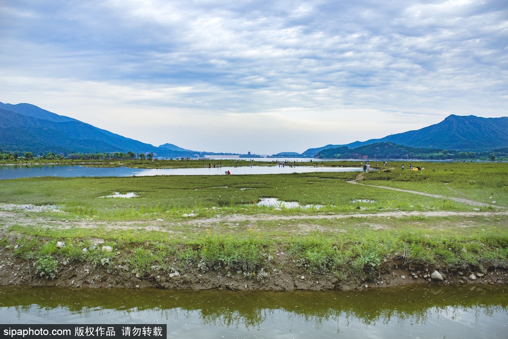 “樱”你而来 “桃”醉其中！京城樱桃采摘好去处！