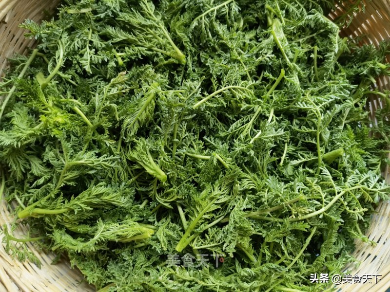 咬一口，满足你对小丸丸所有的渴望
