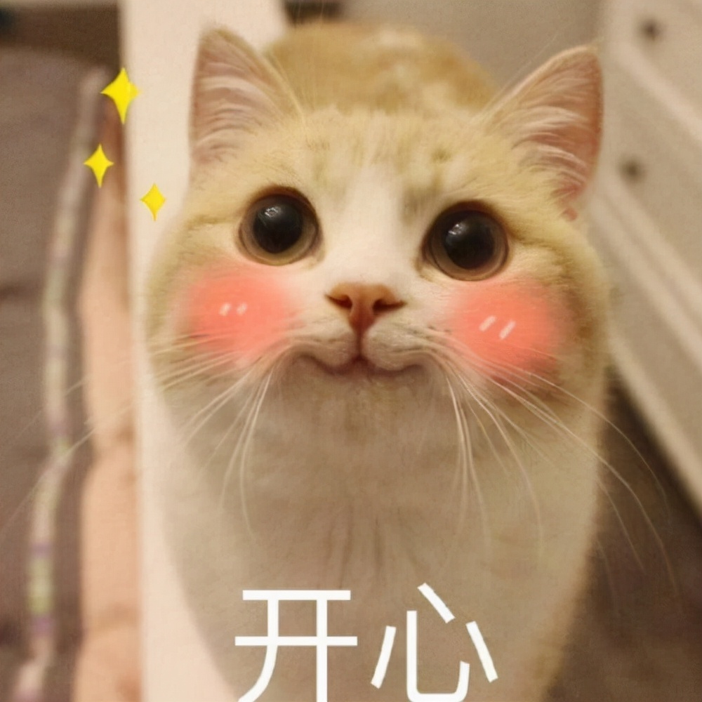 盤點千元級輕奢女包，好背又好搭