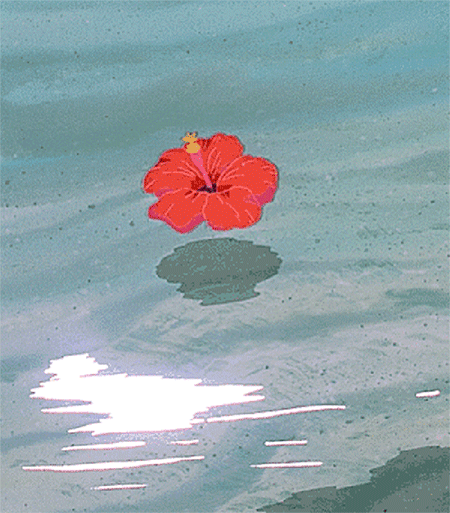 450_513gif 动态图 动图