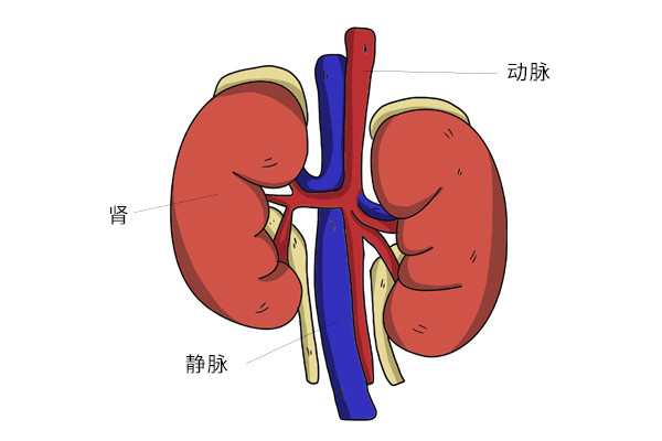 700美元！尼泊尔卖肾村，几乎人人只剩一个肾，如今他们怎样了？