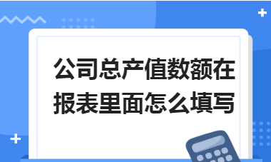 公司总产值数额在报表里面怎么填写