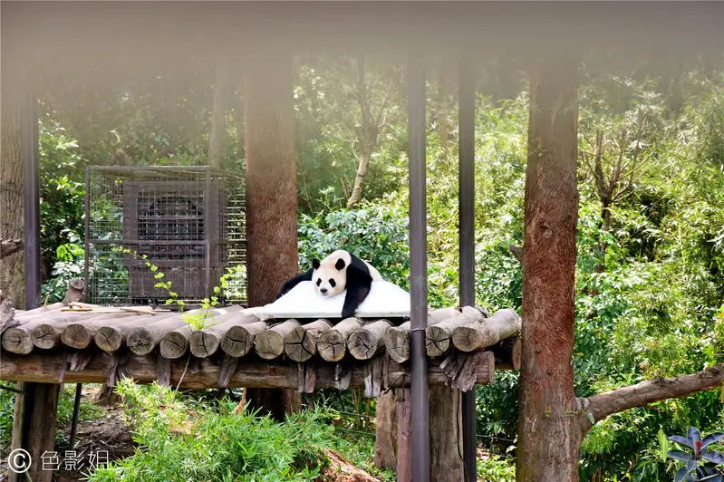长隆欢乐世界旅游攻略景点必去（三天三夜欢乐长隆之旅）