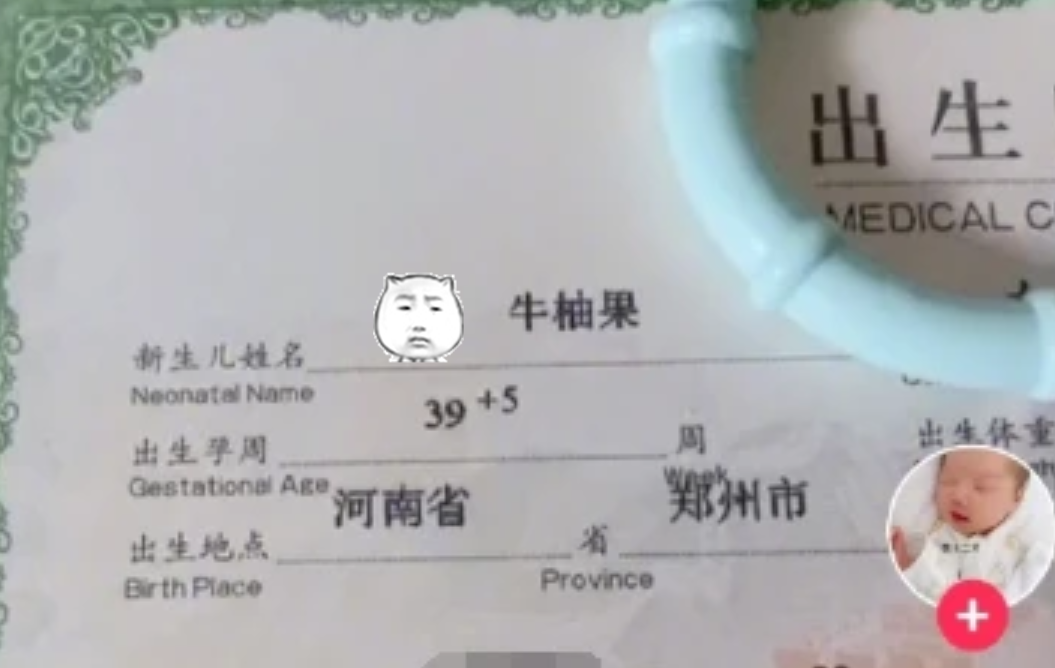 孩子名叫“鱼鱻䲜”，老师点名：8条鱼来没？网友：好多鱼本鱼？