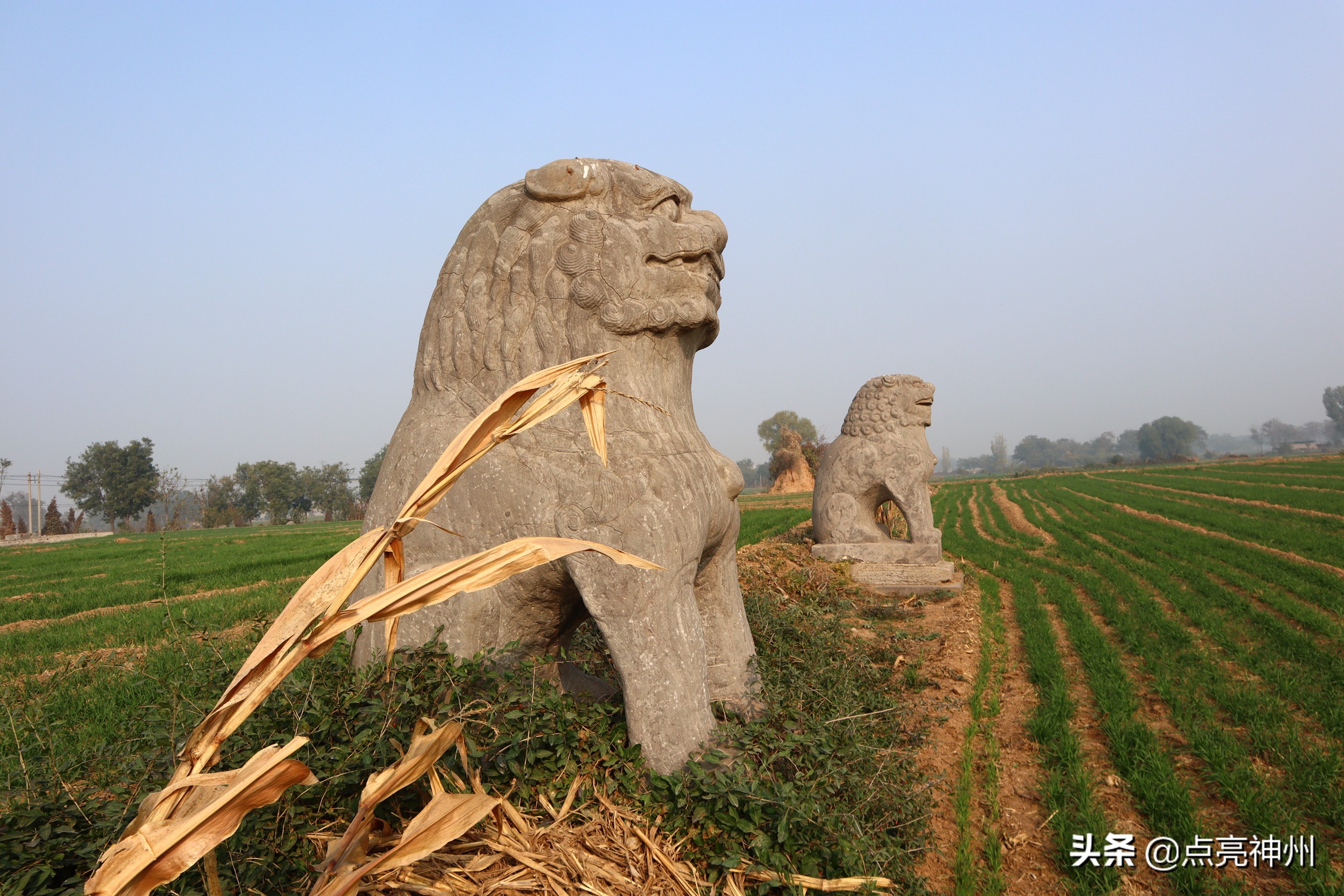 郑州：你该下决心了！巩义北宋皇陵，隔靴搔痒式的保护有什么用？