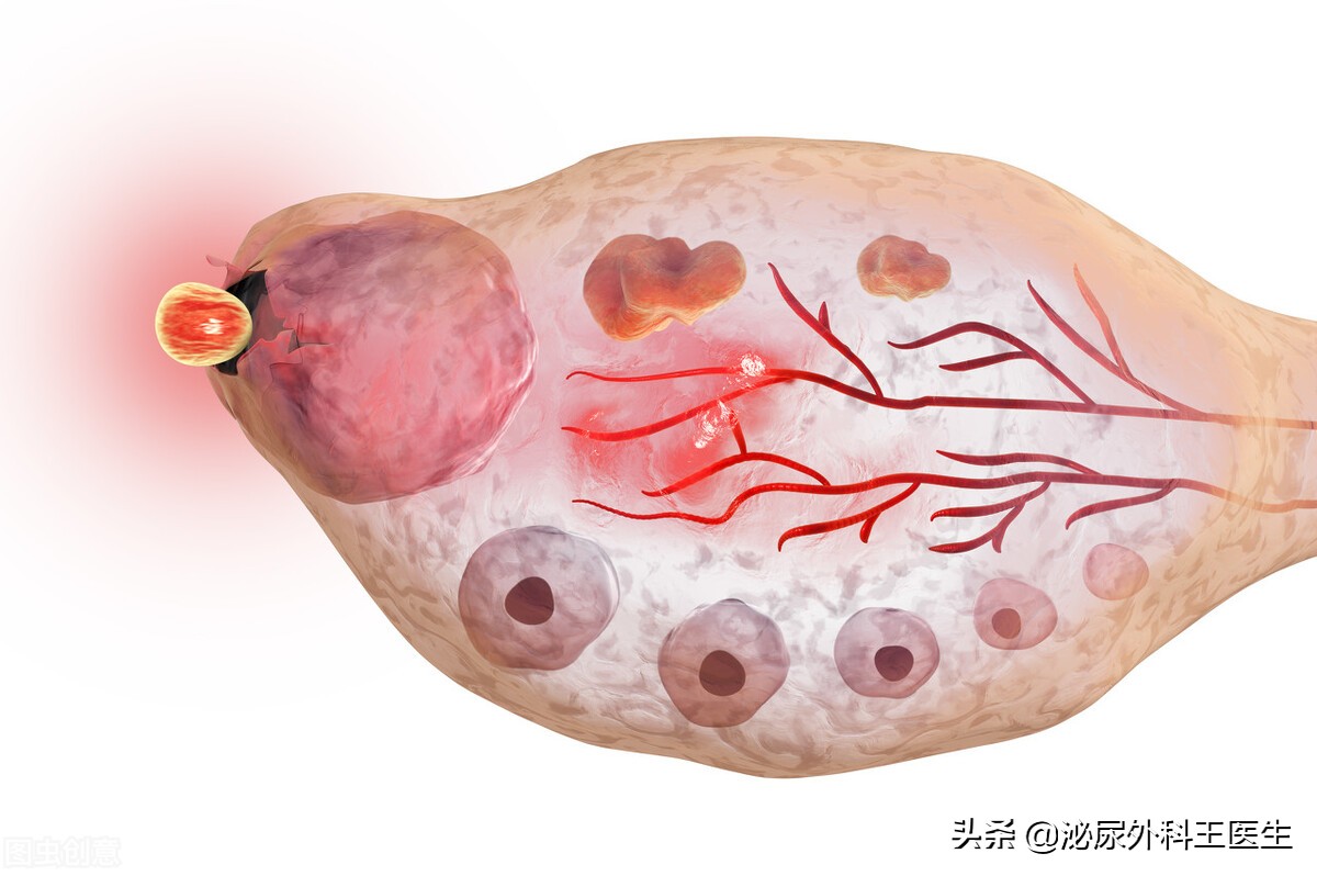 卵子是通过卵巢产生的,女性的卵子一生的排放数量是有限的,而且女性的