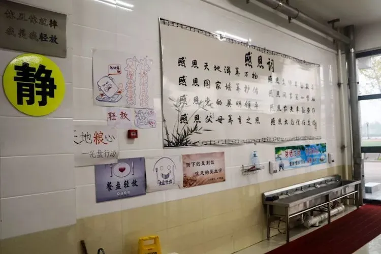 2020衡水一中保定分校（贺阳外国语学校）幼升小，小升初火热报名