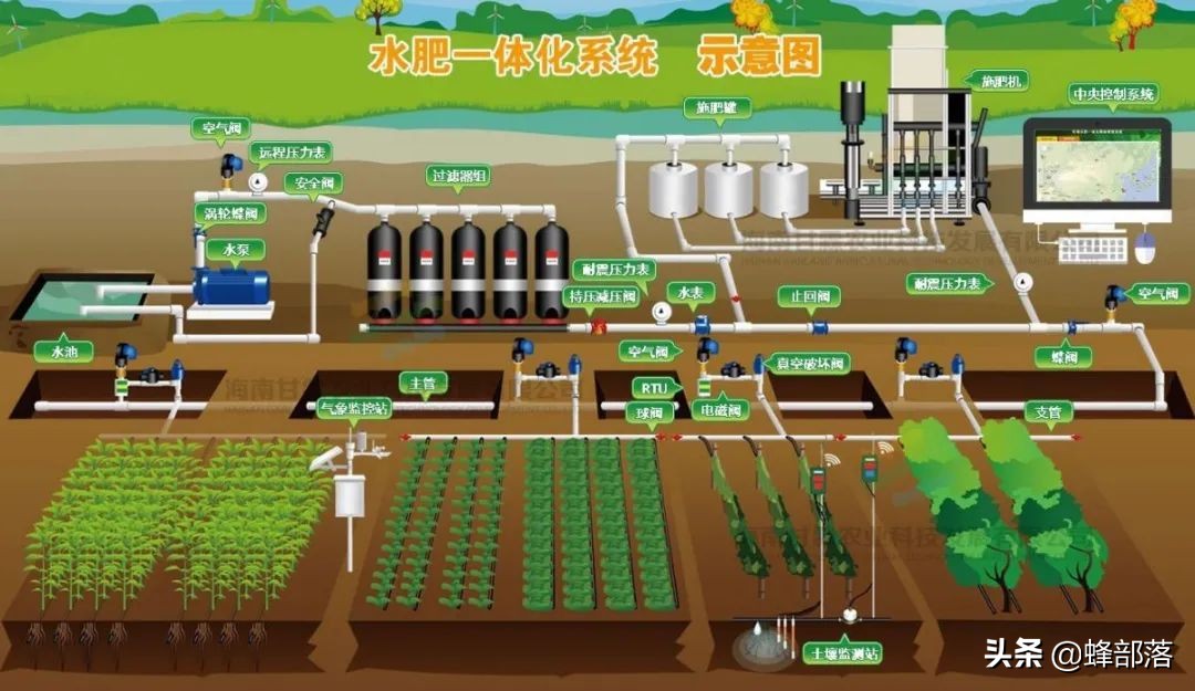 2021农村未来10大项目，蕴含万亿发展商机，抓住一项就有大发展