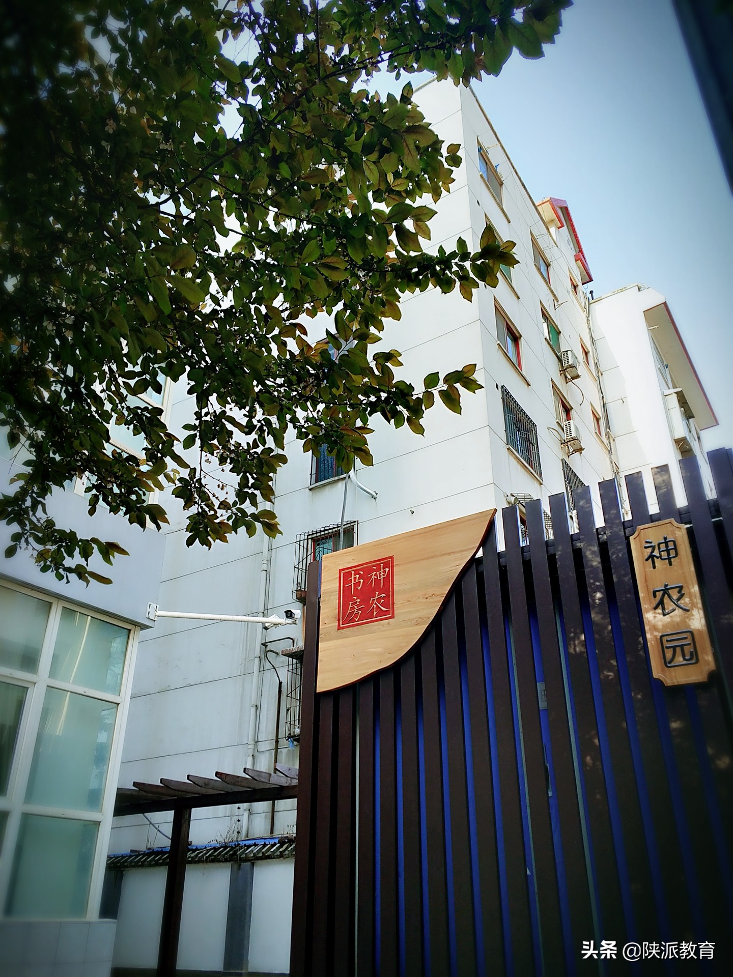 校园文化 | 厚植家国情怀，培育时代新人——宝鸡实验小学校园文化建设探索与实践