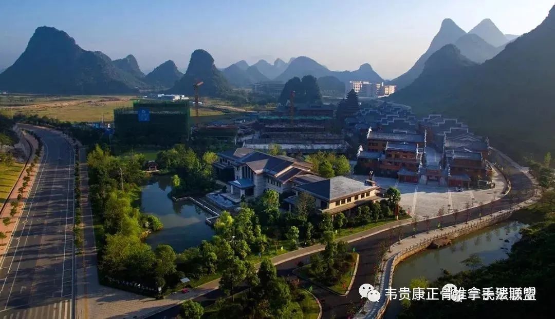 辛杏林学院·杏林教育集团简介