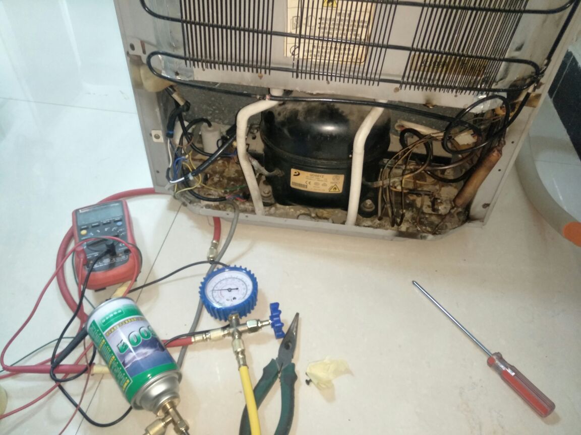 服役15年的容声三温控冰箱修好了