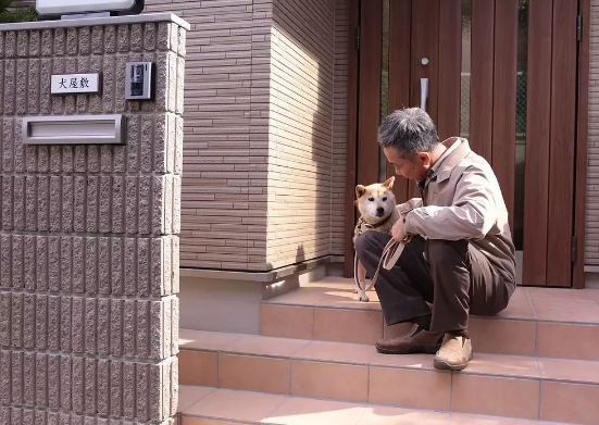 《犬舍》也拯救不了日本电影的复兴之路，下滑已成定数