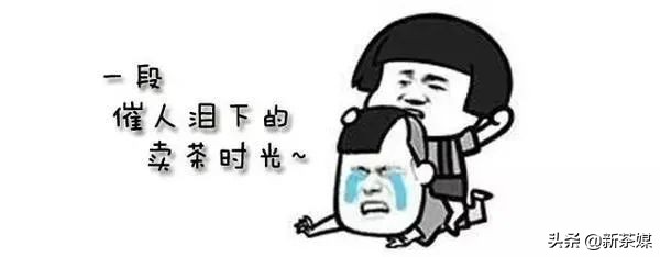「刀哥说茶」爱茶是陷阱、品牌是个坑、情怀害死人